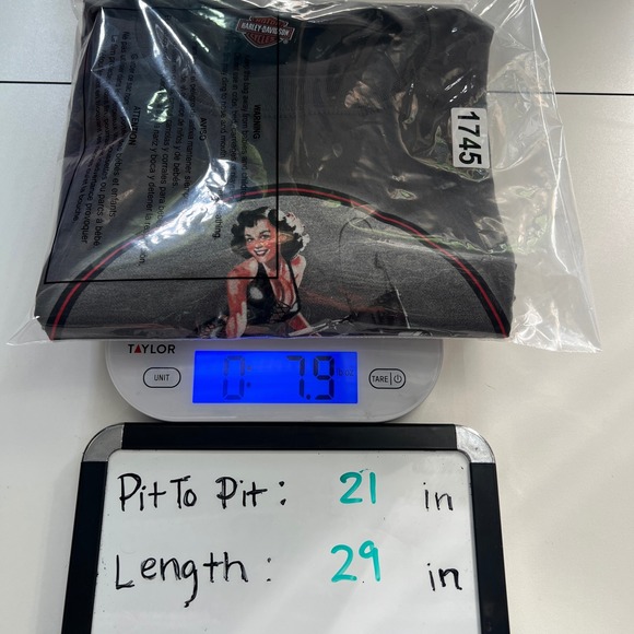 Harley Davidson Mens L Pin Up Girl Motorcycle Graphic Tee Gray Grand Junction CO - Picture 10 of 10